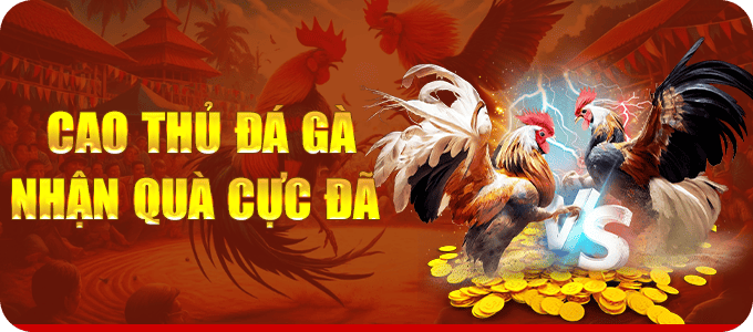 cao thủ đá gà